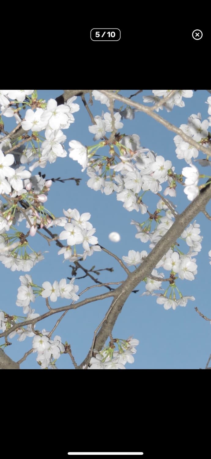 A급컨디션) 캐논 익시 10 (캐논 익서스 70 IXUS 70) 디카 상품이미지5