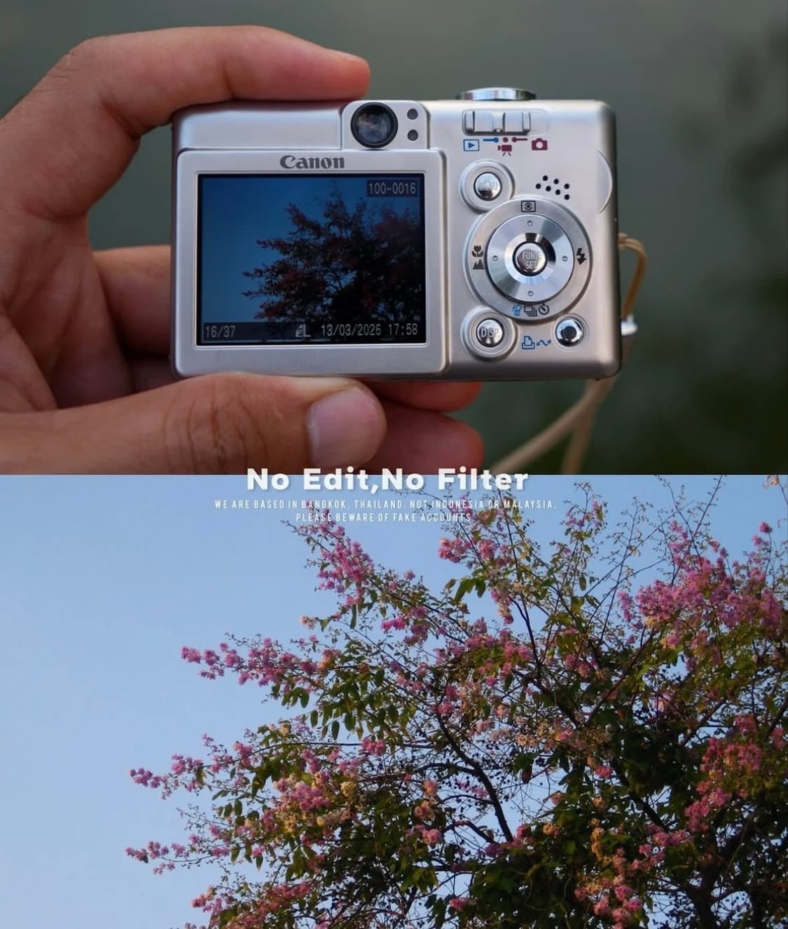 캐논 익서스 40 (익시50) 디카 상품이미지9