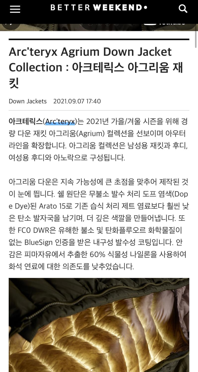 L 아크테릭스 아그리움 후디  타츠 상품이미지8