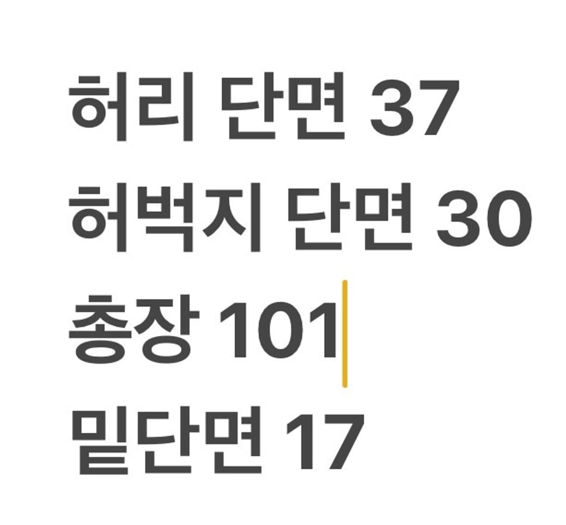  [정품] 블루 카고 바지 팬츠 b19 상품이미지8