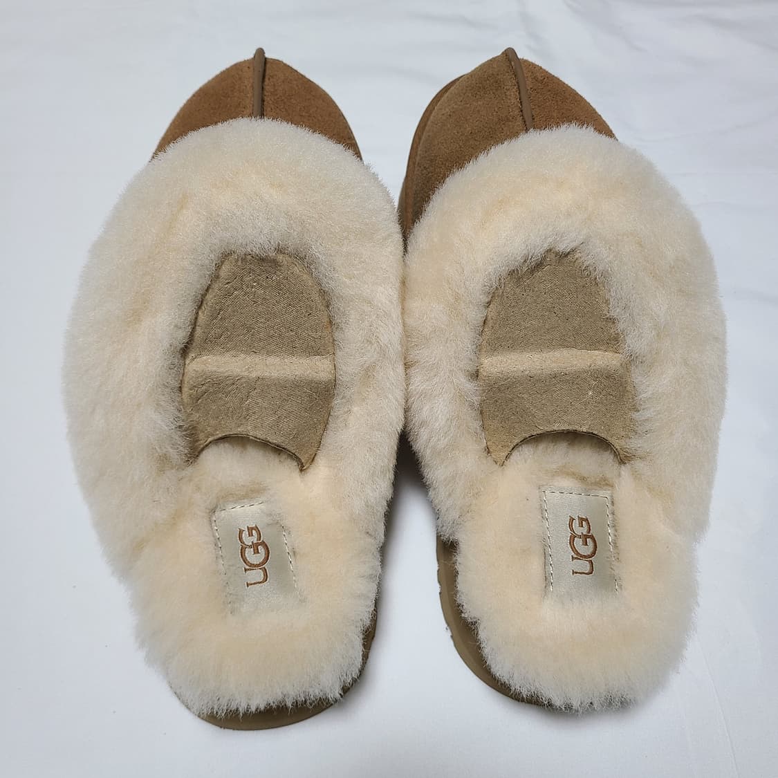 어그 디스케트 슬리퍼 체스트넛 상품이미지2