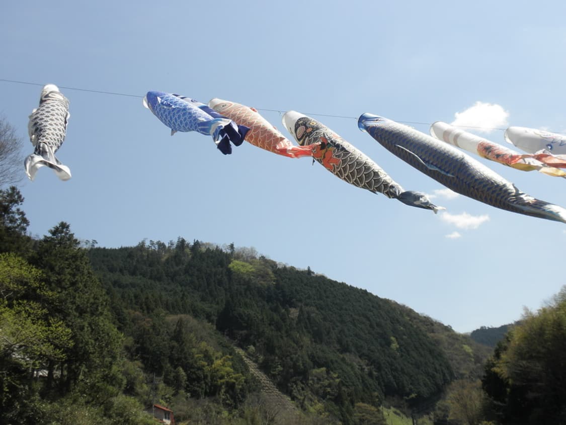 올림푸스 뮤 Olympus mju 7000 실버 상품이미지3