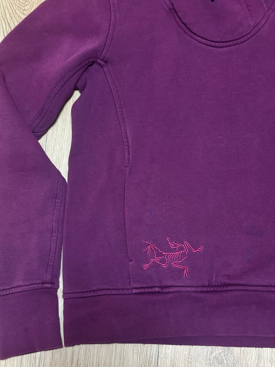 아크테릭스 빅로고 후드티 상품이미지2