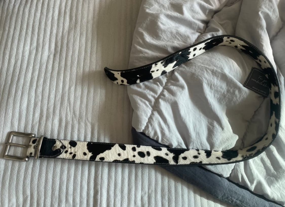 Xlim 엑슬림ep6 송치벨트  상품이미지2