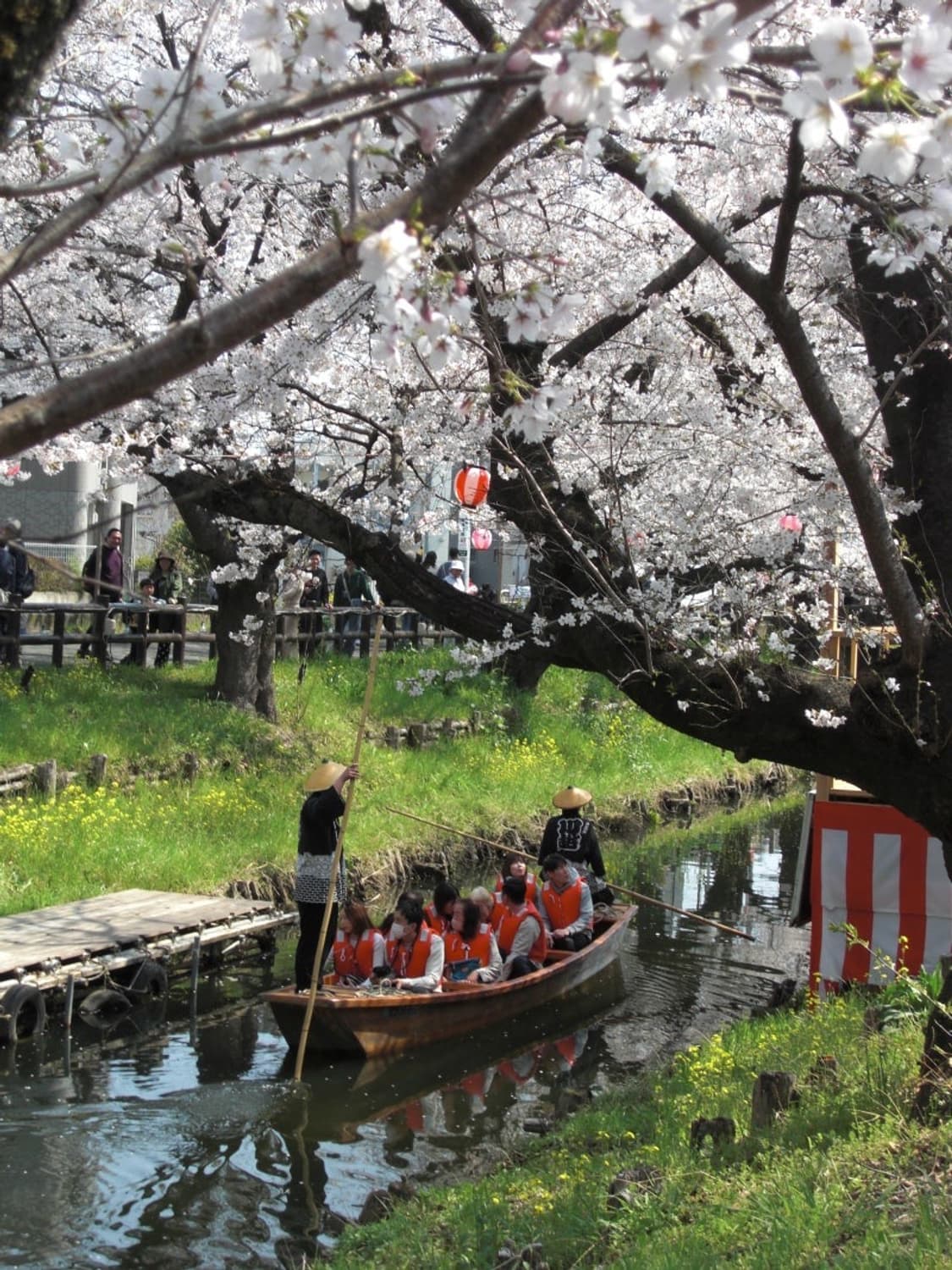 작례있음🌸💖카시오 엑슬림 Z100 casio exilim 상품이미지2