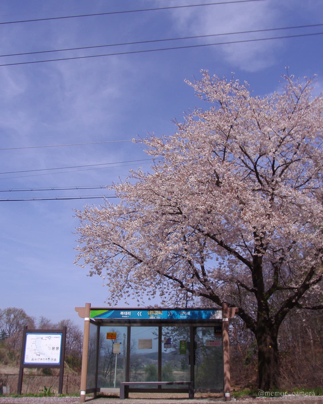 필카무드/입문자추천🌸OLYMPUS CAMEDIA X-600 올림푸스디카 상품이미지10