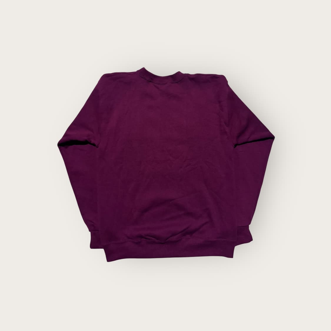 90s USA 텍사스 애기스 Santee 스웻셔츠 L 상품이미지5