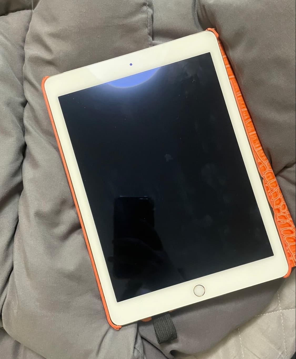 아이패드 에어2 64GB 골드 상품이미지1