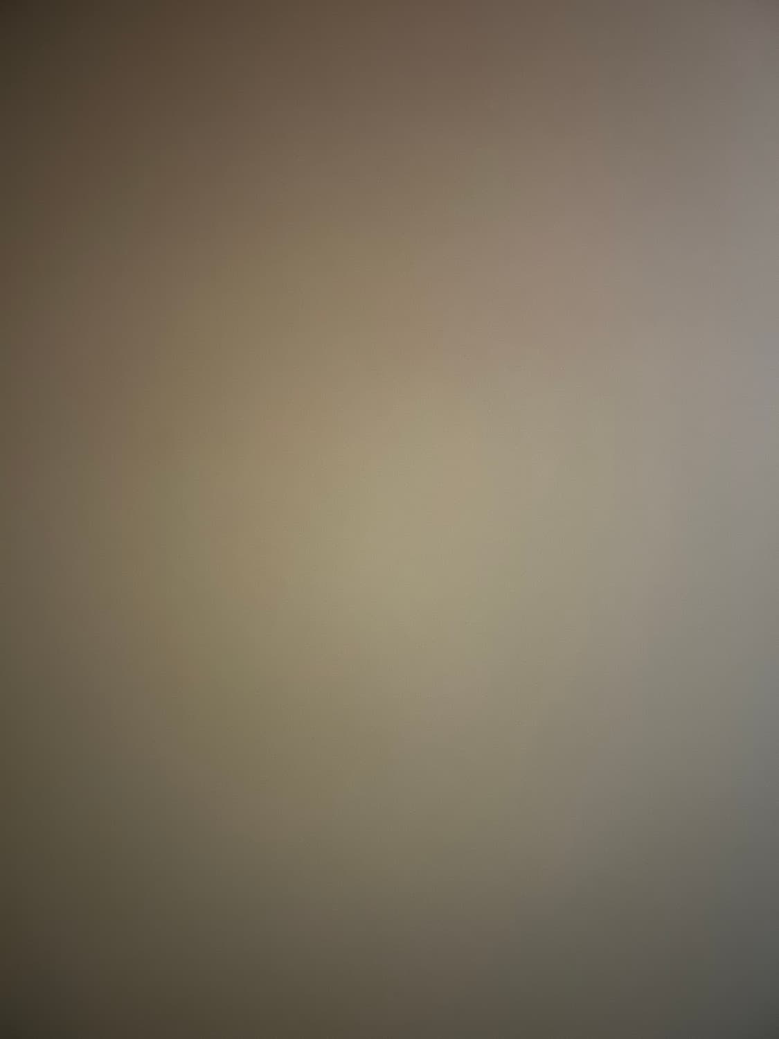 으나밍님 디올 상품이미지1