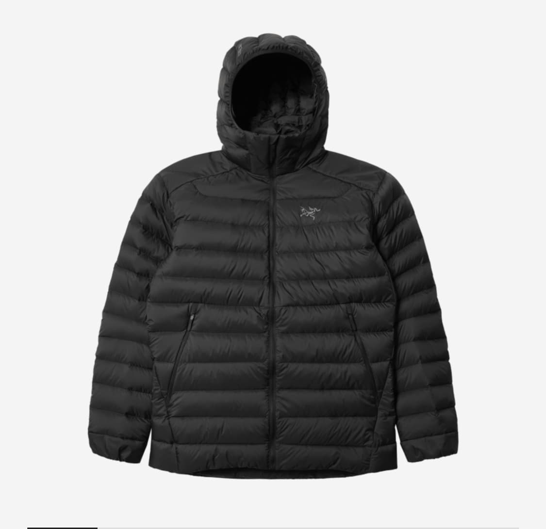 아크테릭스 세륨 후디 블랙 상품이미지1