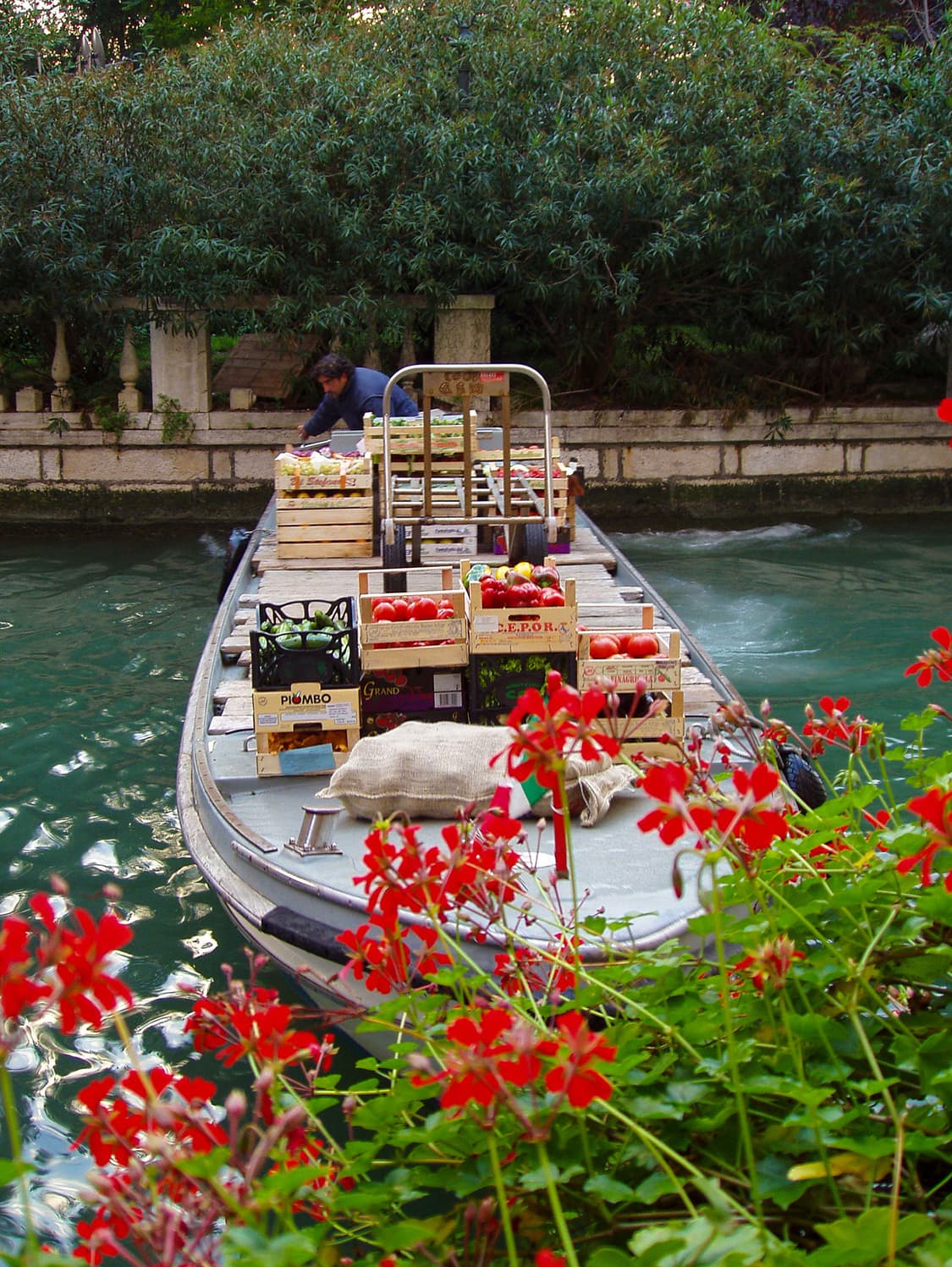 올림푸스 카메디아 x-2 상품이미지5