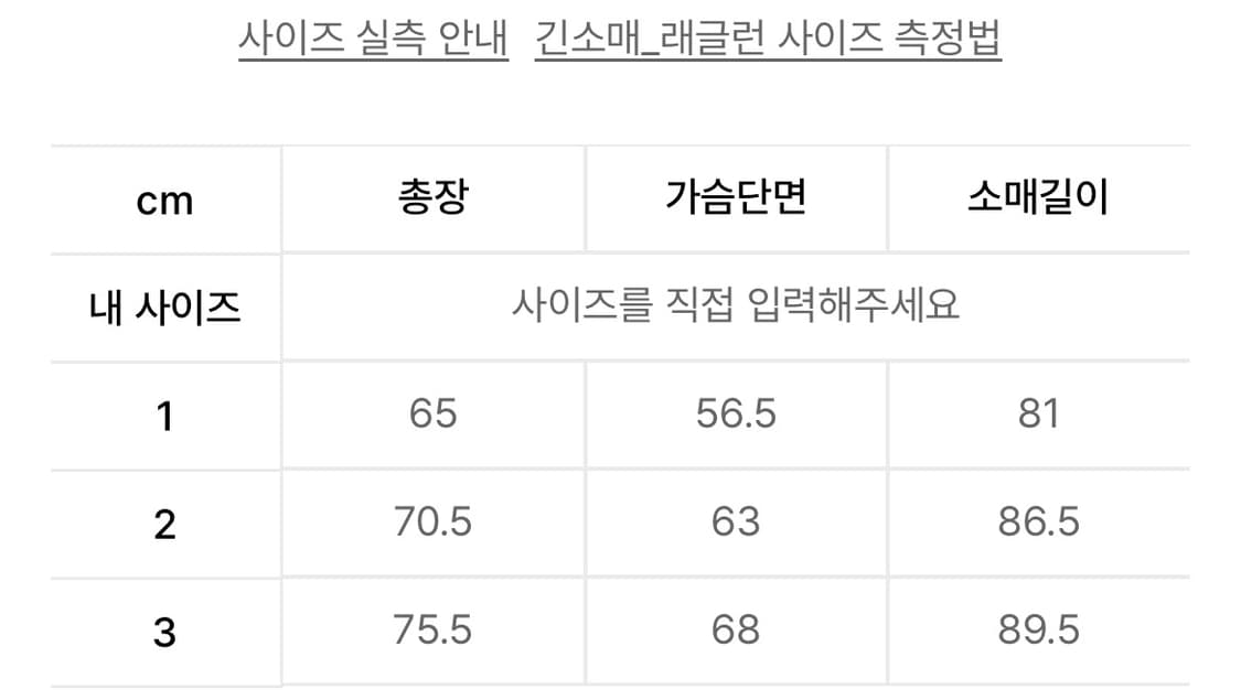 Freedom Printed Raglan Sweatshirt 상품이미지2