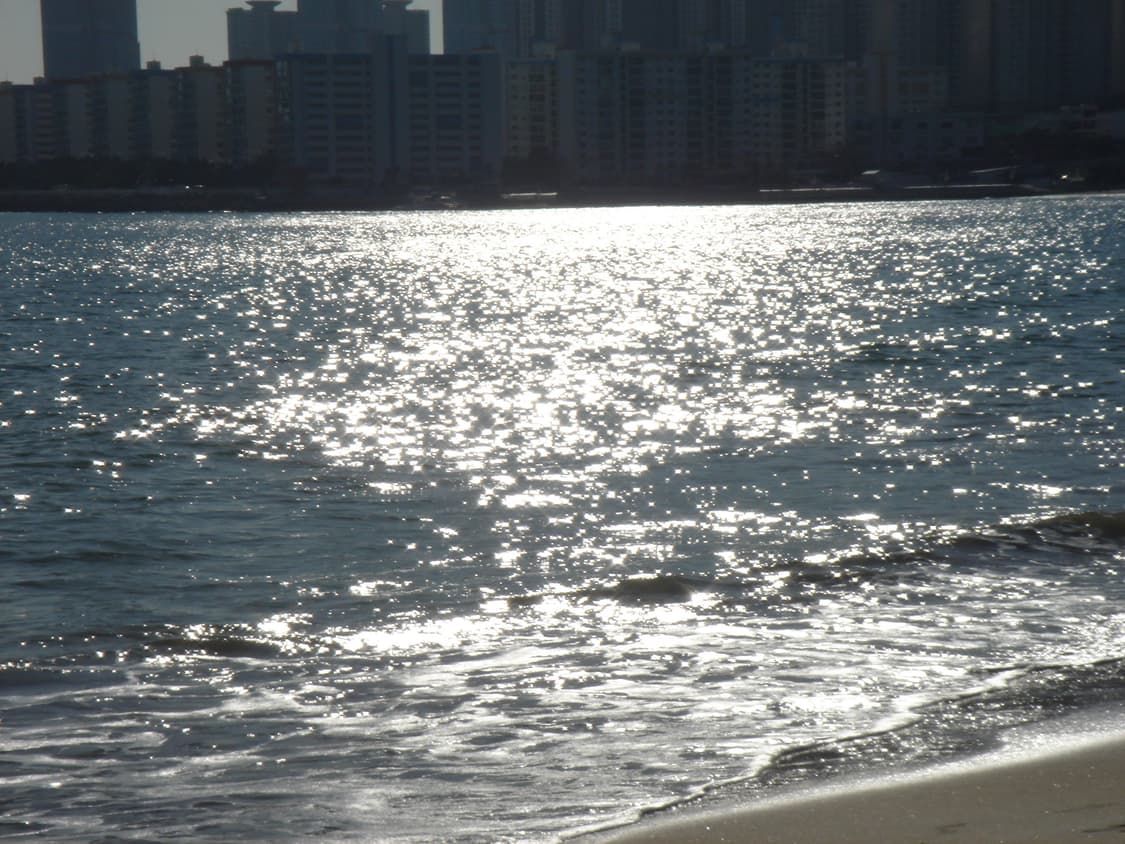 sony cybershot 소니 사이버샷 dsc t5 실버 상품이미지8