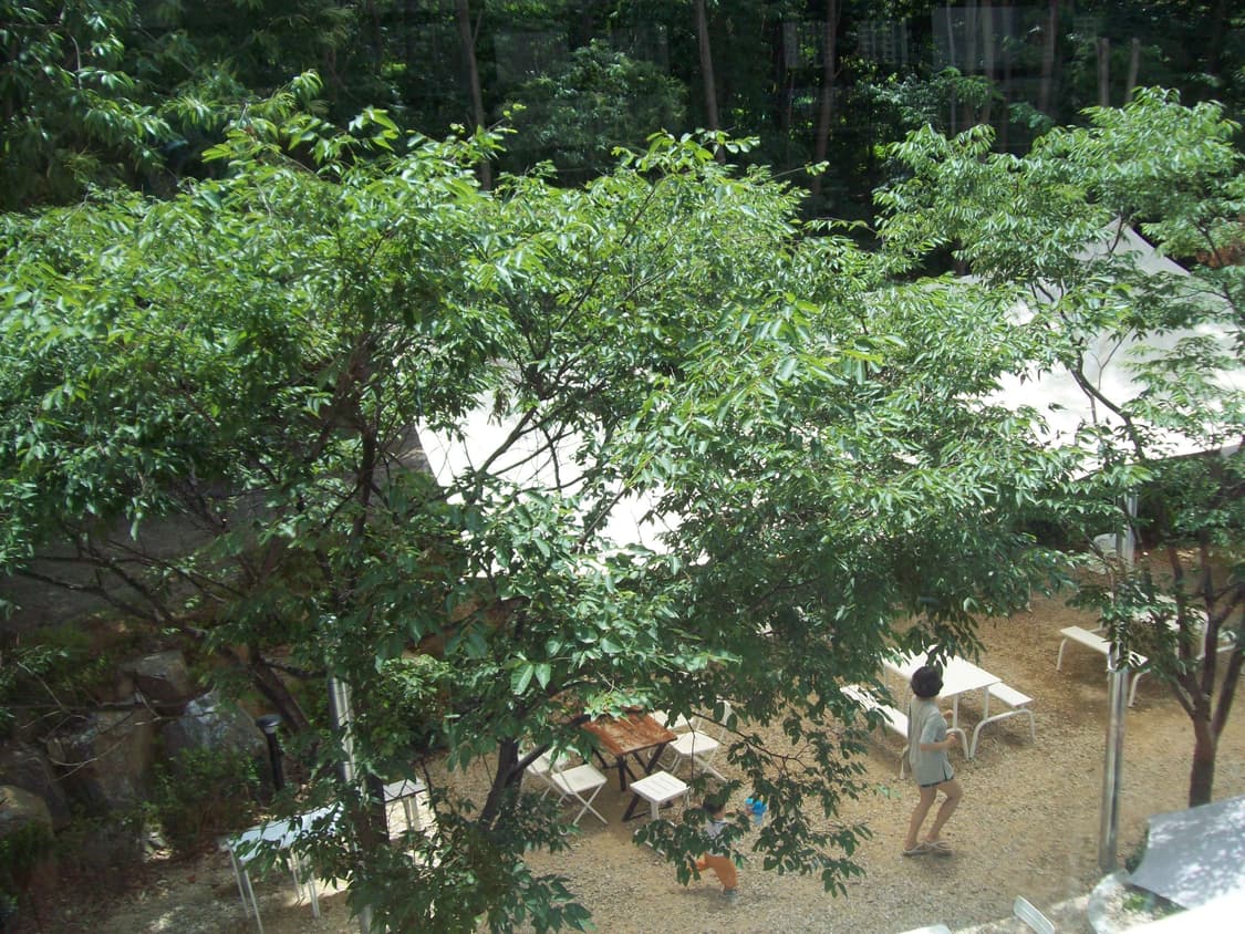 코닥 이지쉐어 C813 실버 Kodak Easyshare C813  상품이미지10