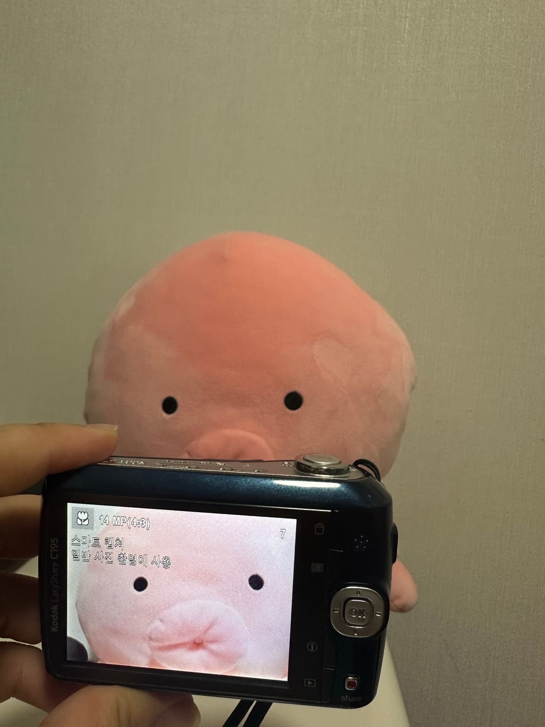 코닥 이지쉐어 c195 상품이미지7