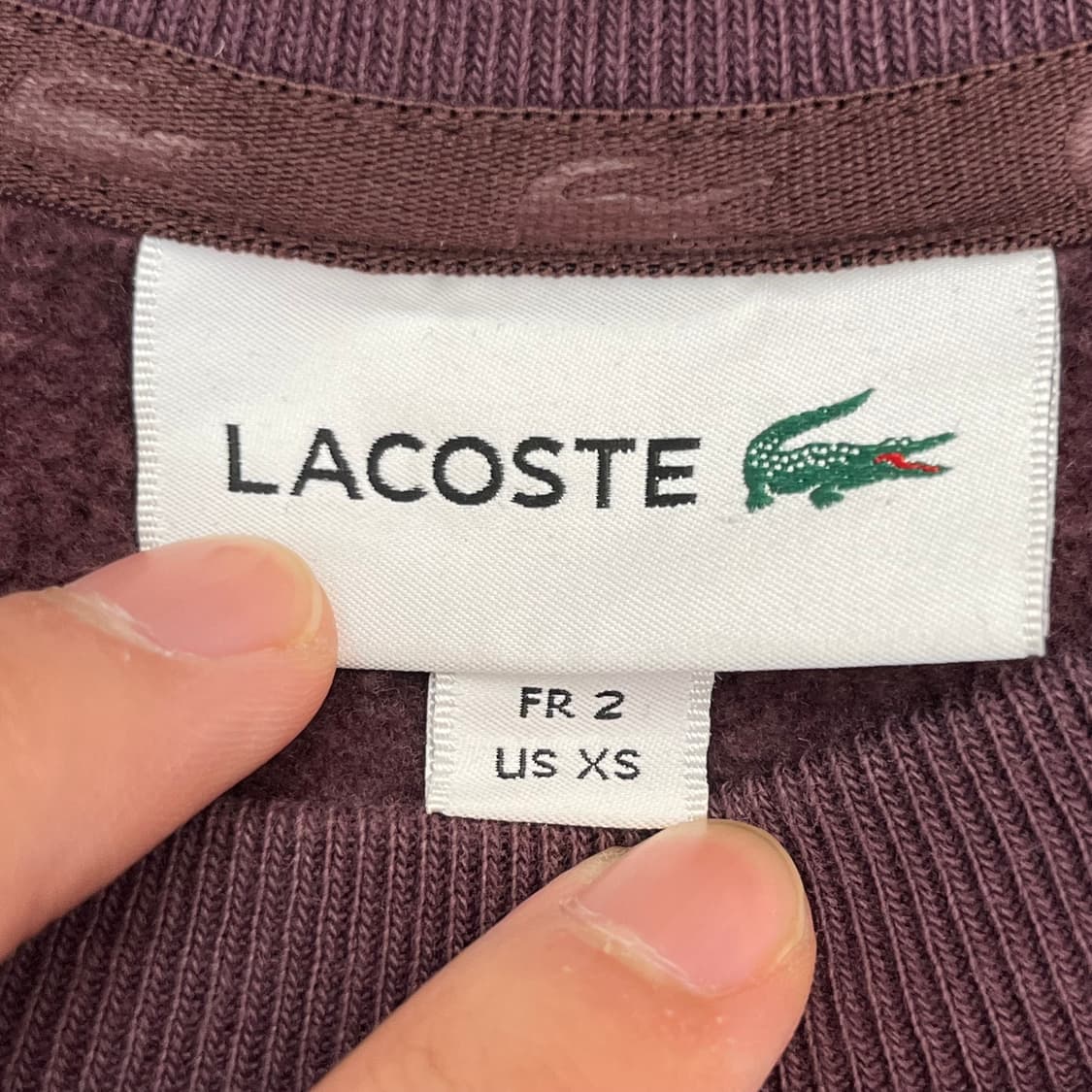 라코스테 여성 기모 맨투맨 (US XS) 상품이미지3