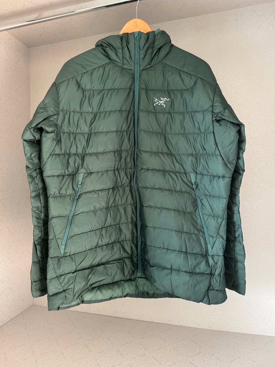 XL 아크테릭스 세륨 LT 다크 엘리시움 다운 후디 자켓 / 에덴 상품이미지1