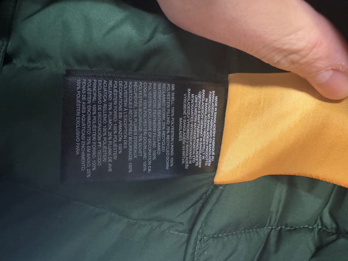 노스페이스 아콘카구아 3 후디 상품이미지3