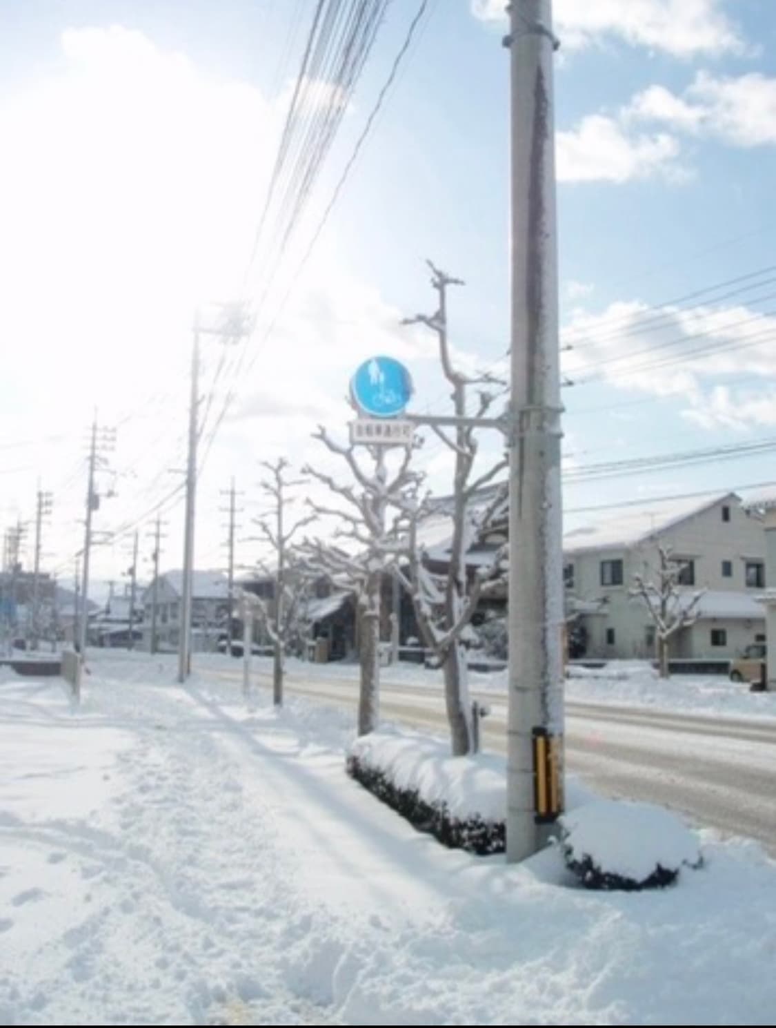 올림푸스 뮤 830 작례 ㅇ 상품이미지5