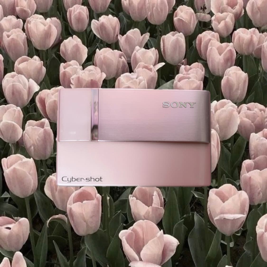 딸기우유 디카💕) Sony cybershot DSC t10 상품이미지1
