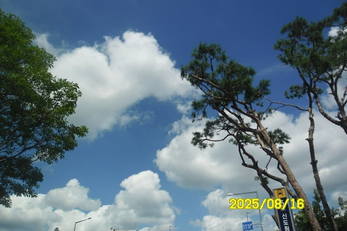 삼성 VLUU ES30 작례 O 상품이미지4