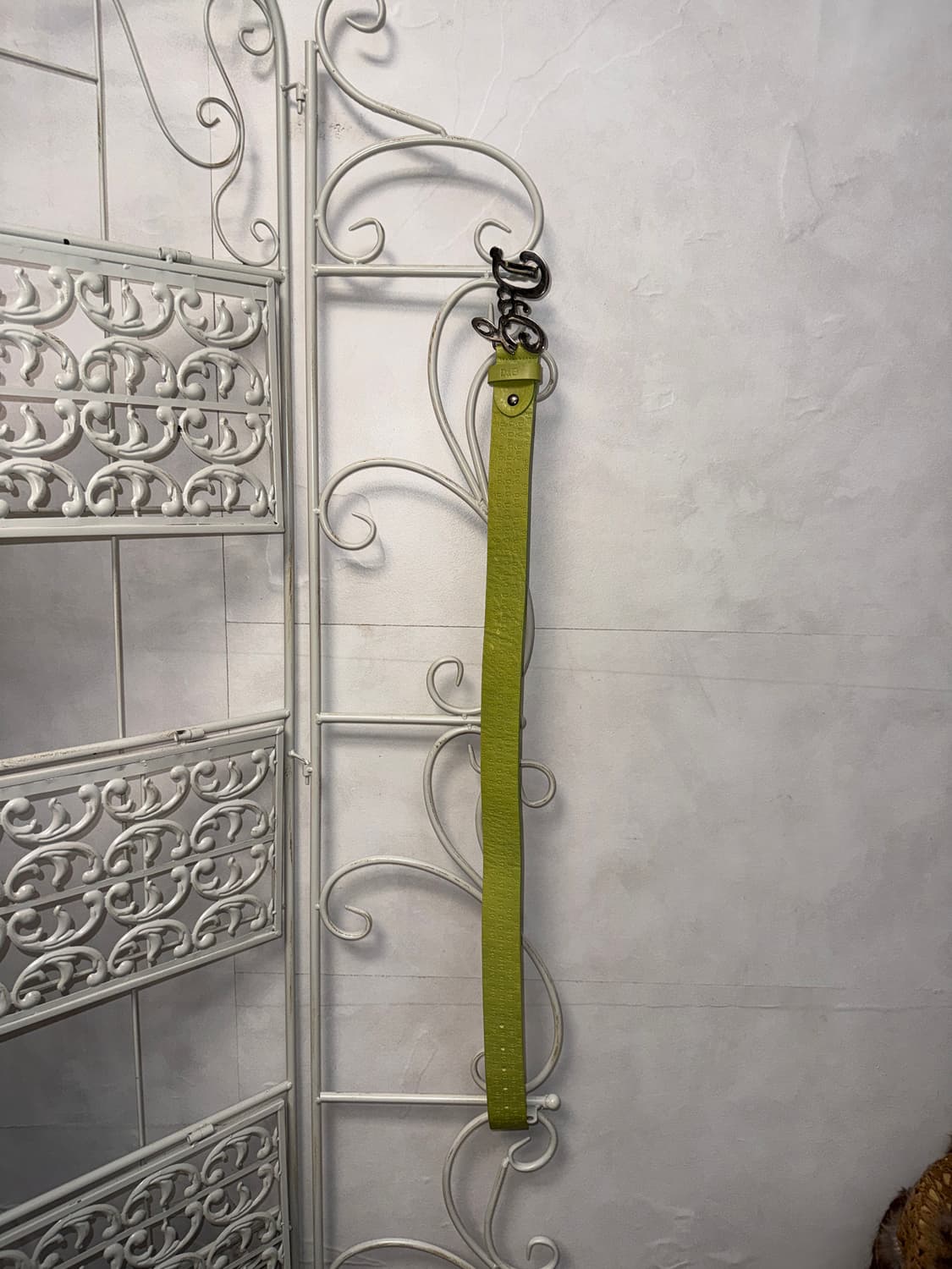 Dolce & Gabbana lime logo buckle belt 상품이미지4