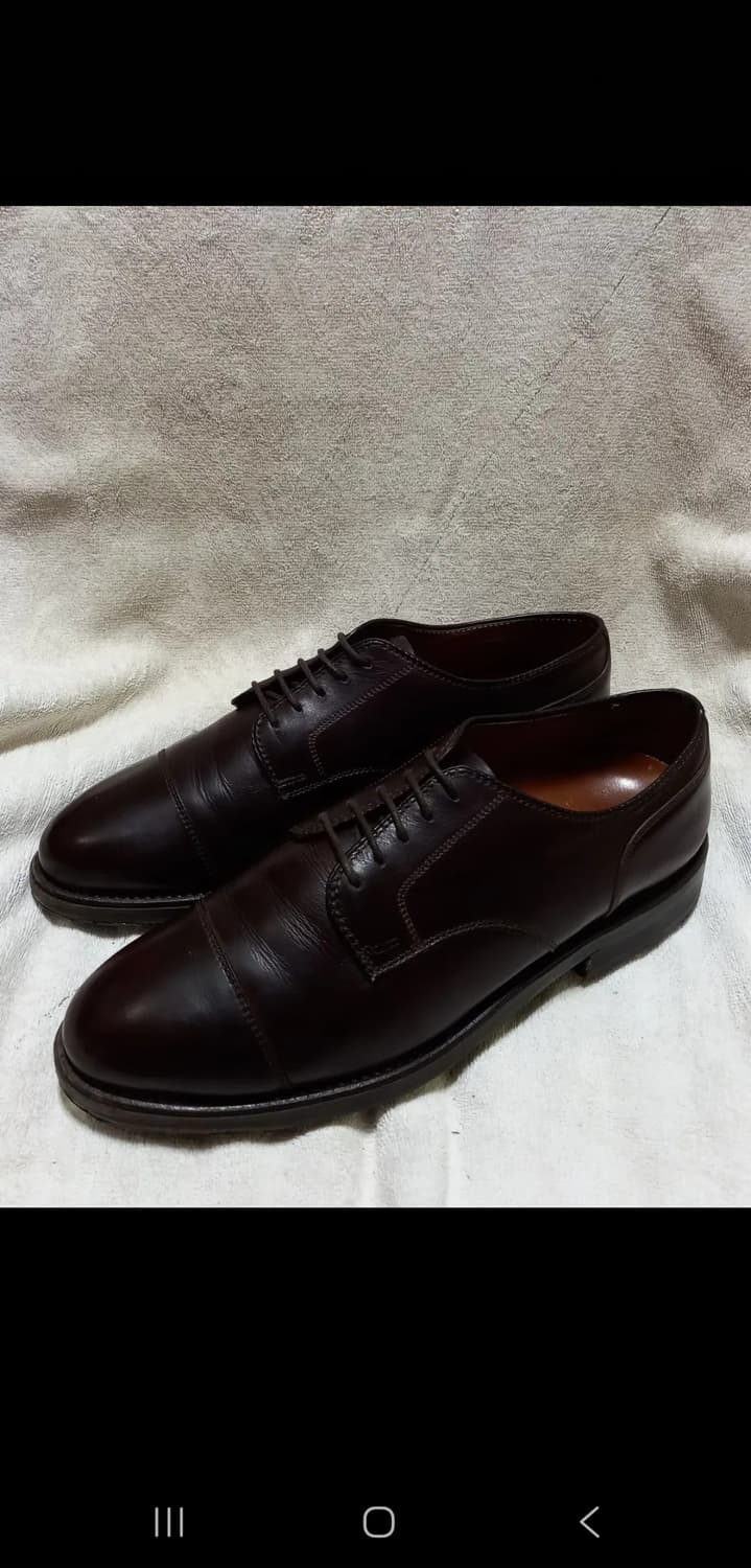 [판매] Alden 973 알든 973 카프 스트레이트 팁 블러처 8d 상품이미지6