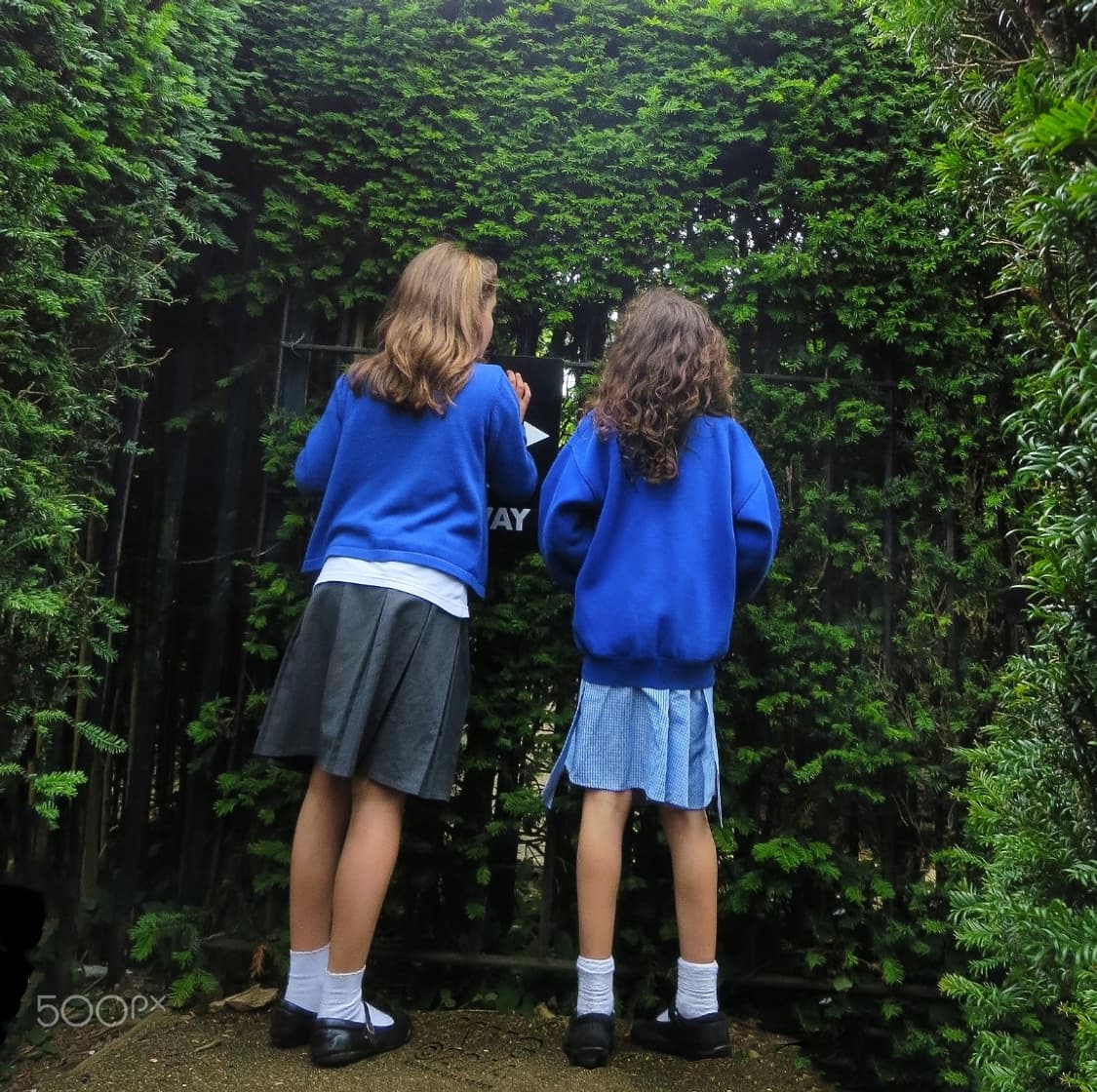 신품급)캐논 익시 610F (익서스 255 HS) 빈티지디카 상품이미지8