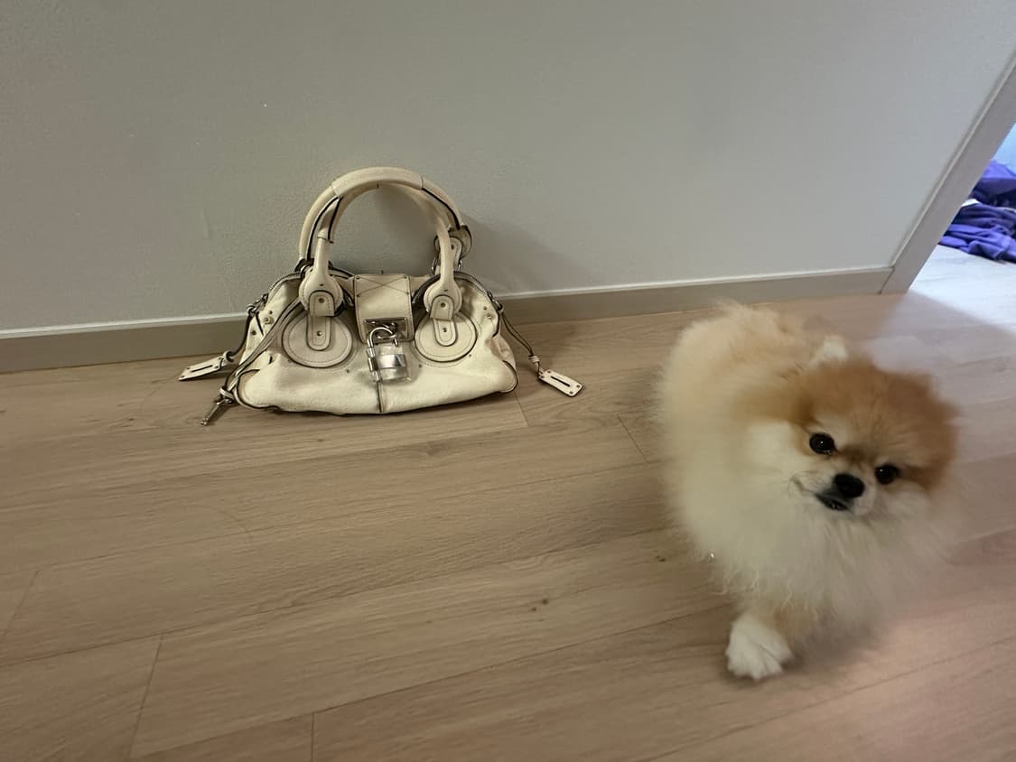 끌로에 패딩턴 크림 베이지 화이트계열 상품이미지2