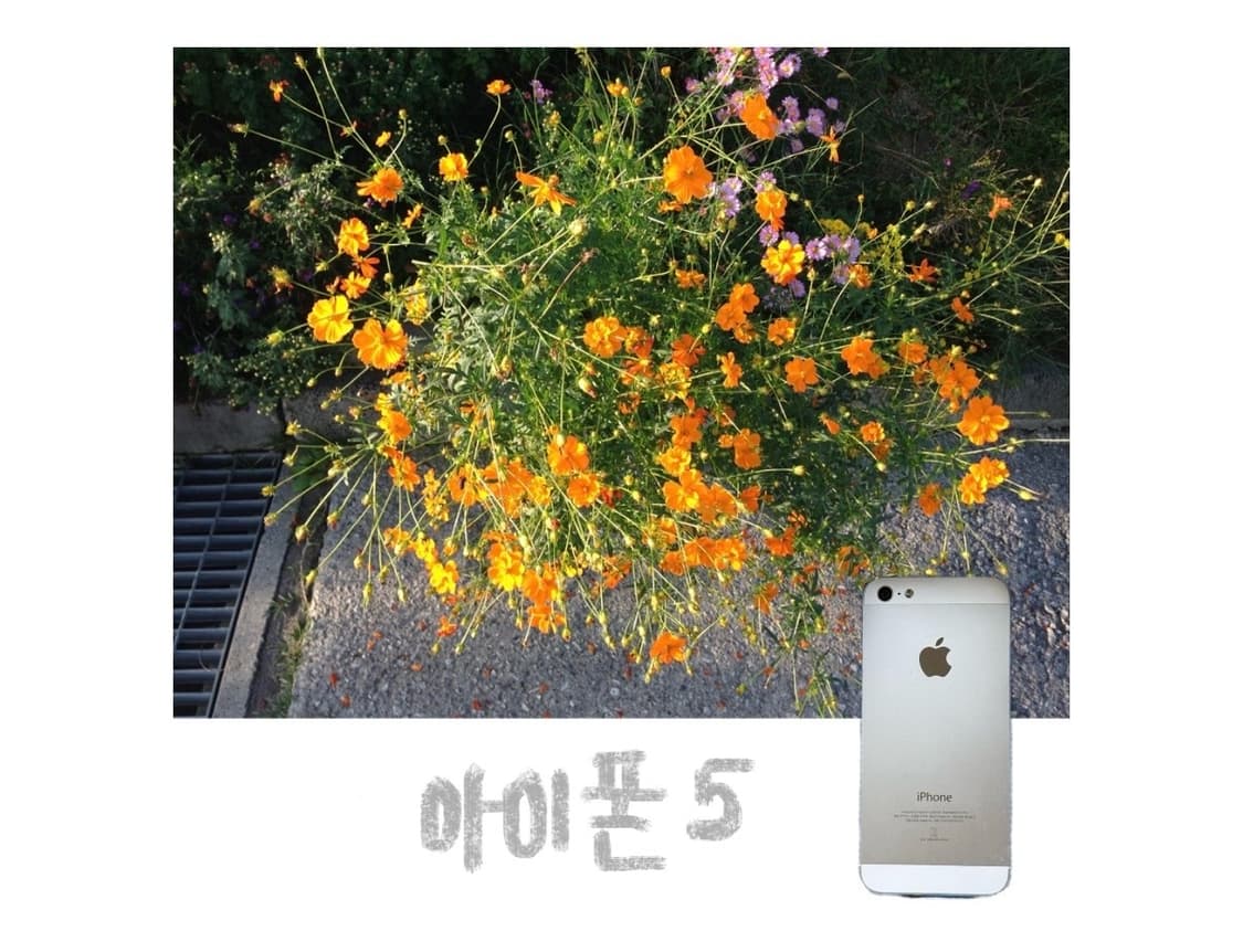 [✨디카 대여 / 아이폰 대여✨] 아이폰 5,6,7 / 디카 VLUU i 상품이미지2