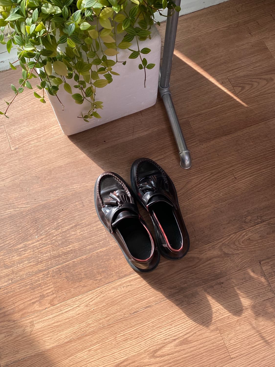 닥터마틴 아드리안 체리레드 250 상품이미지2