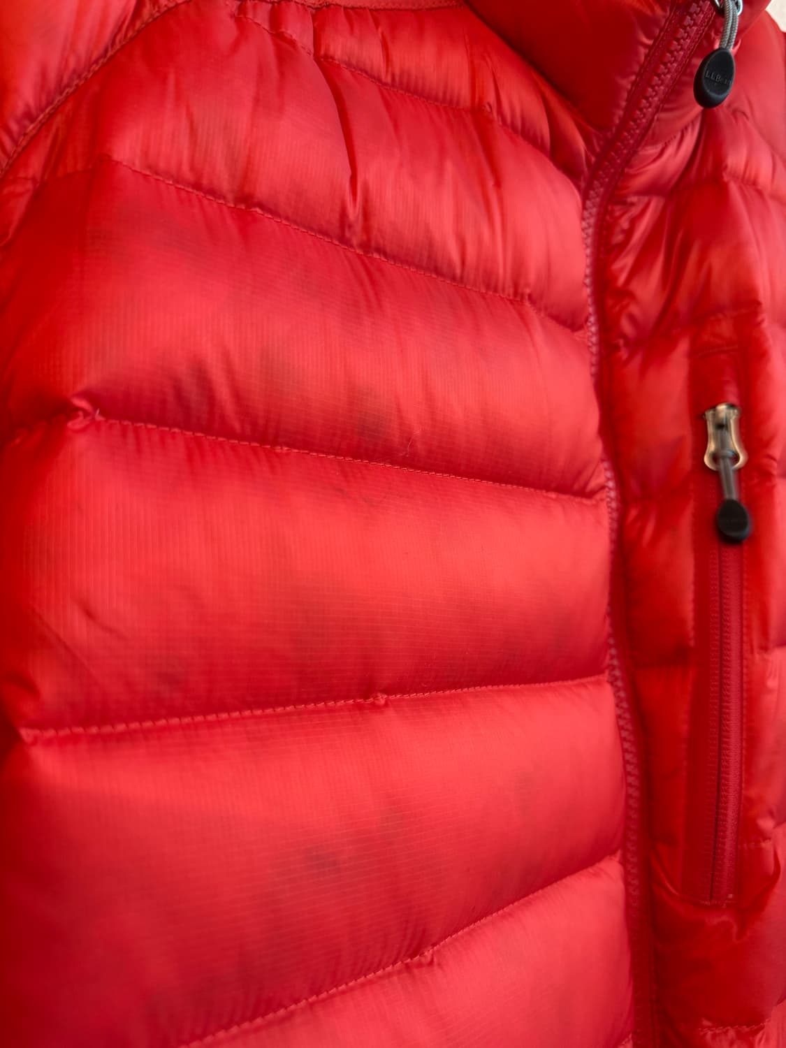 엘엘빈 850 구스 경량패딩 상품이미지4