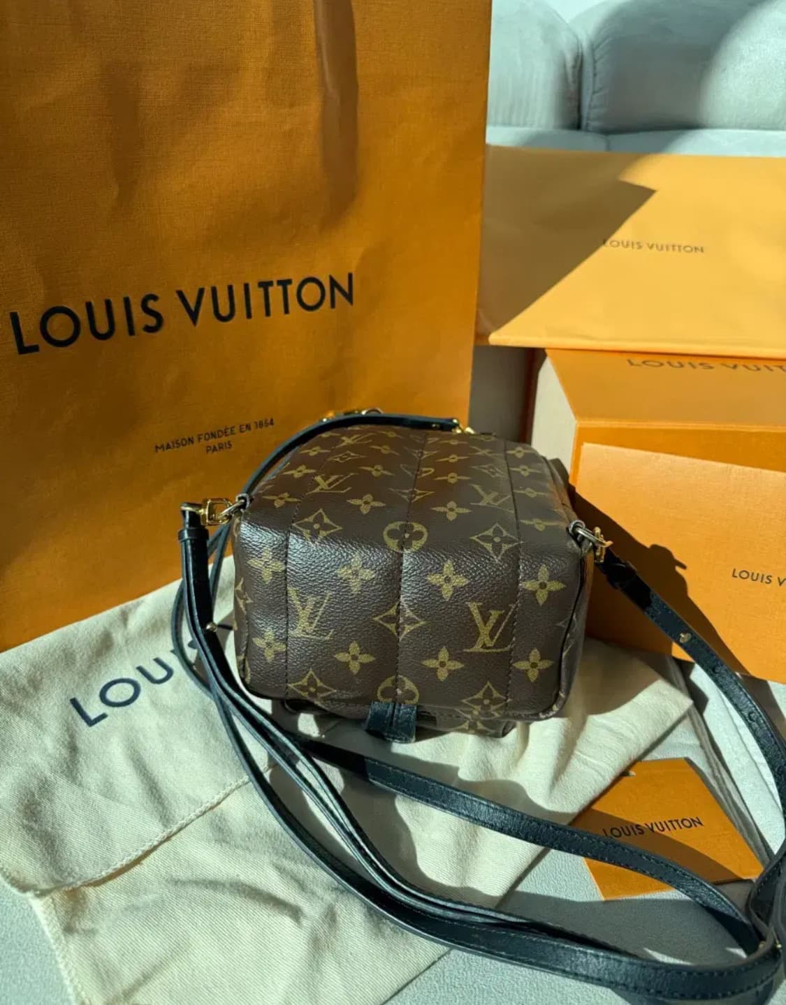 루이비통 팜스프링스 미니 백팩 상품이미지2