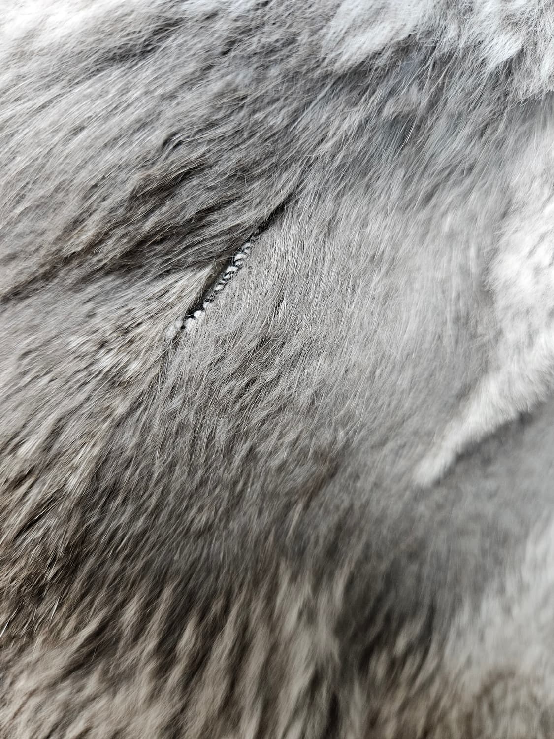 맥케이지 모리츠 36 사이즈 판매합니다. 상품이미지5