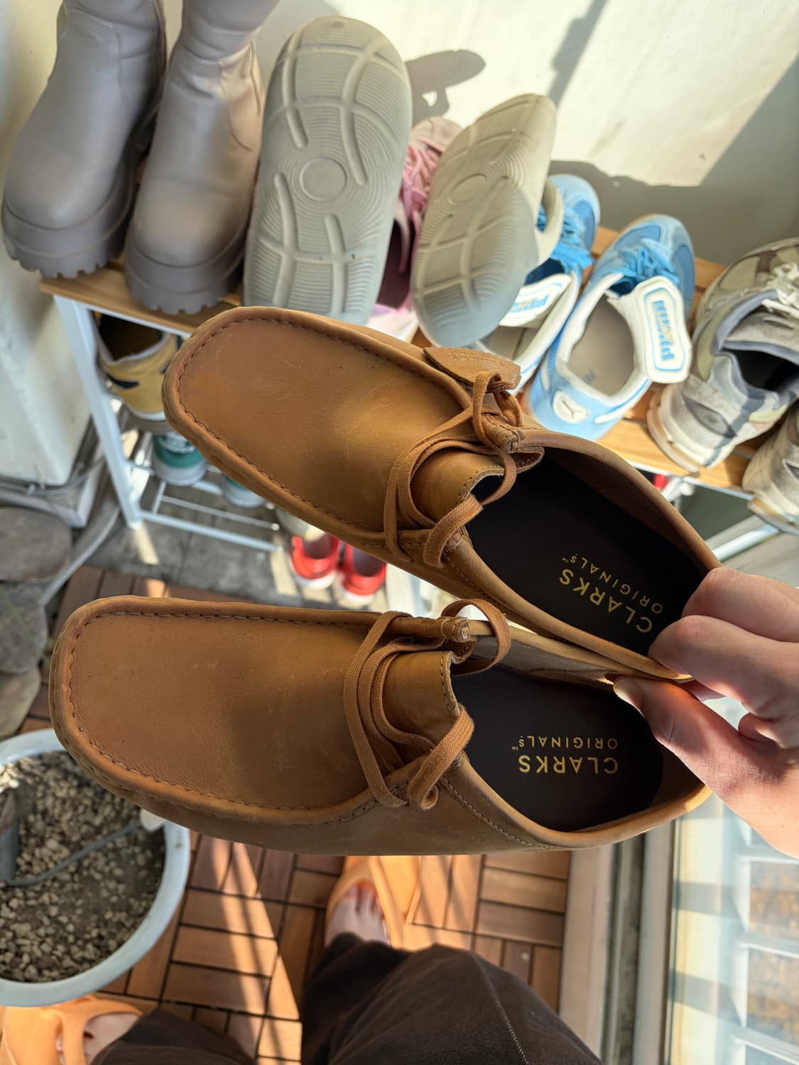 클락스 왈라비 브라운 290 상품이미지1