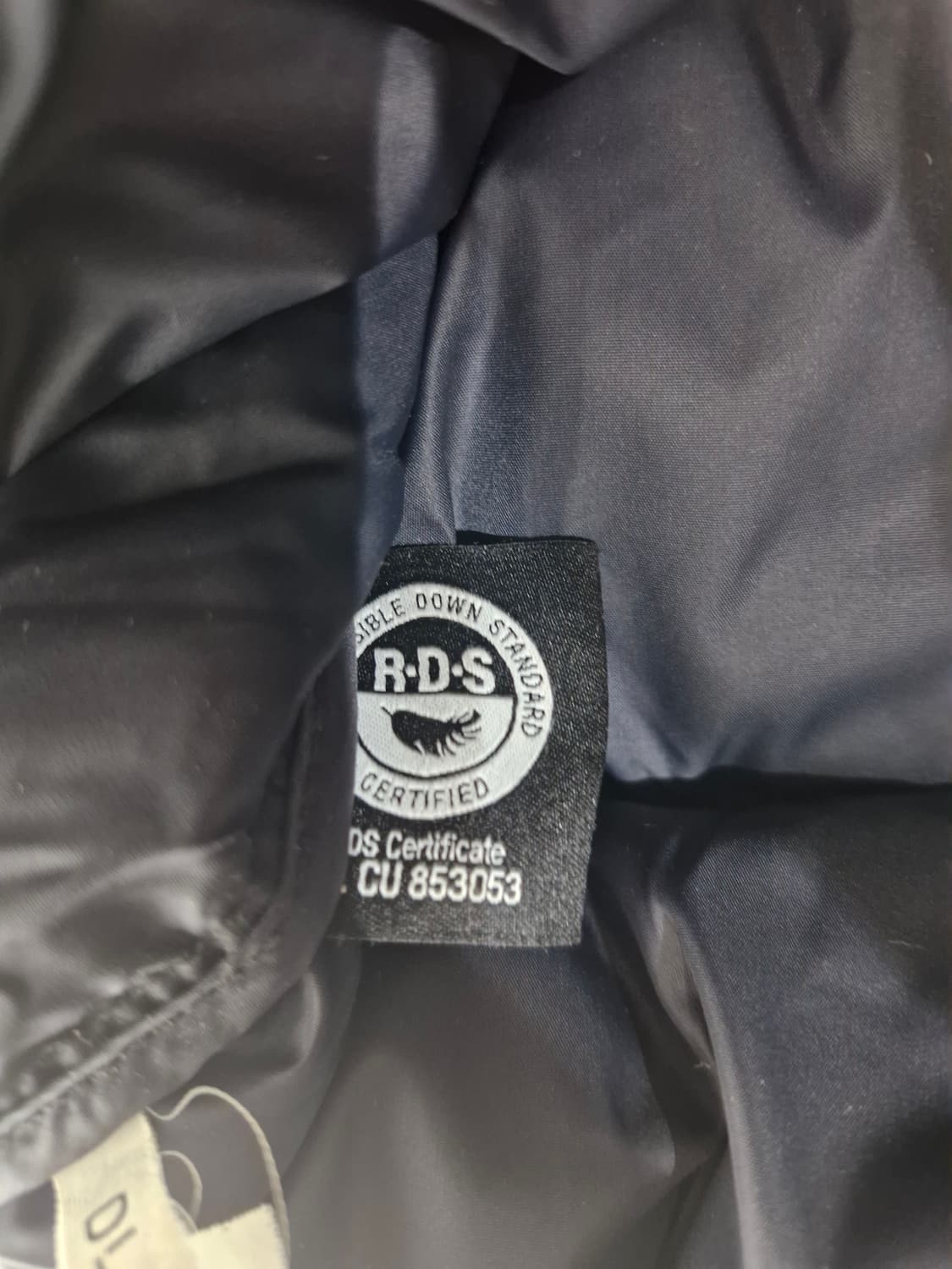 노스페이스 1996 에코 눕시 패딩 자켓(S) 상품이미지8