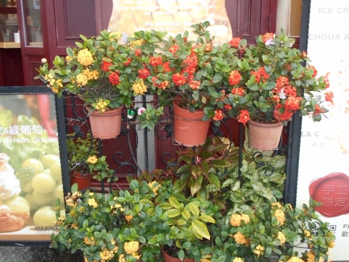 희귀&작례O) 니콘 쿨픽스 S6100 상품이미지5