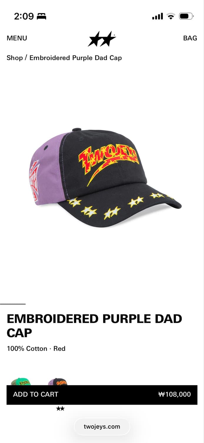 Twojeys Embroidered Purple Dad Cap 상품이미지7