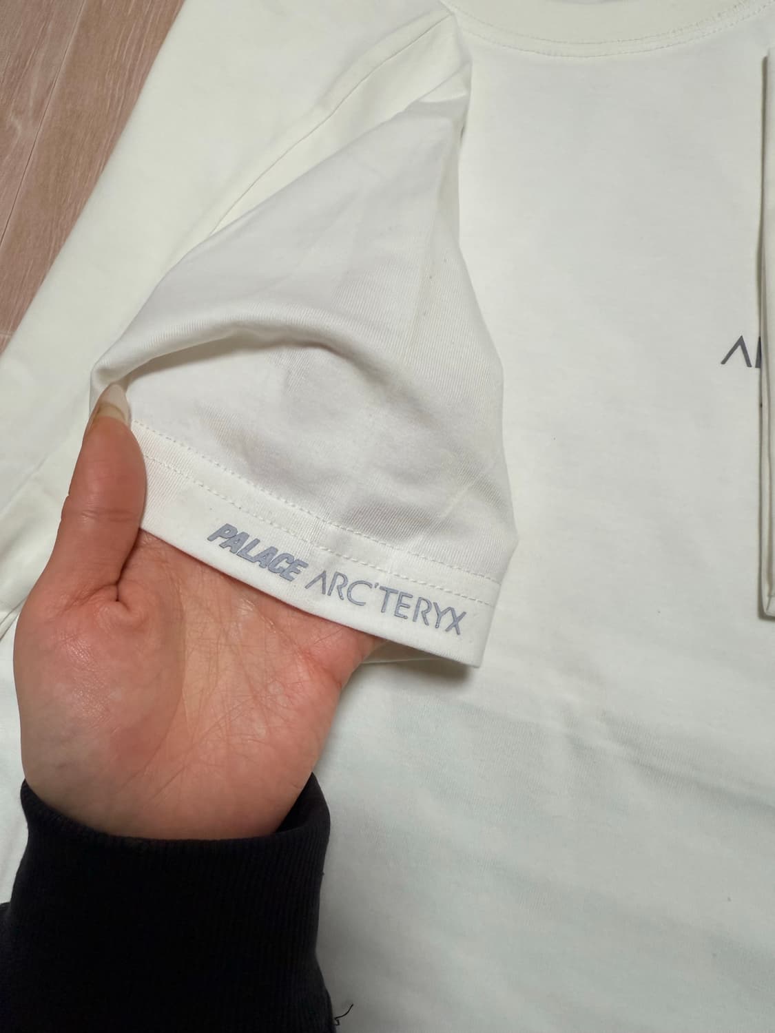 Arc’teryx × Palace 한정 콜라보 티셔츠 / L 상품이미지3