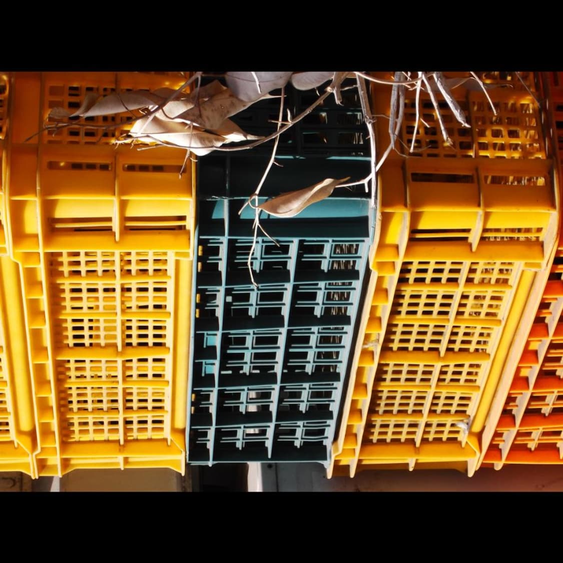 작례⭕️ 후지필름 파인픽스 JX550 실버메탈릭 상품이미지7