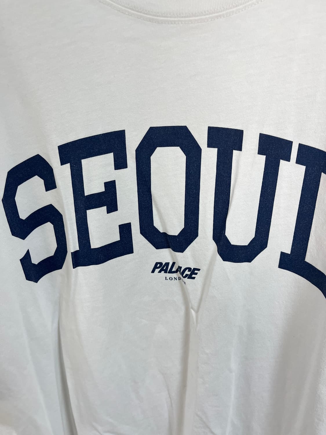 챔피온 x 팔라스서울 반팔티셔츠 100~105 상품이미지2