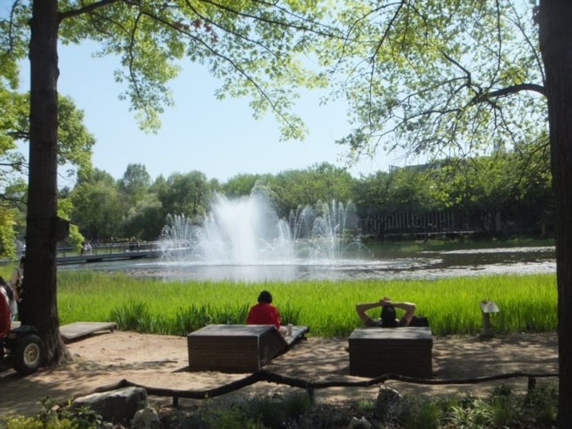 작례⭕️ S급 새상품 컨디션 후지필름 finepix z900exr 상품이미지4