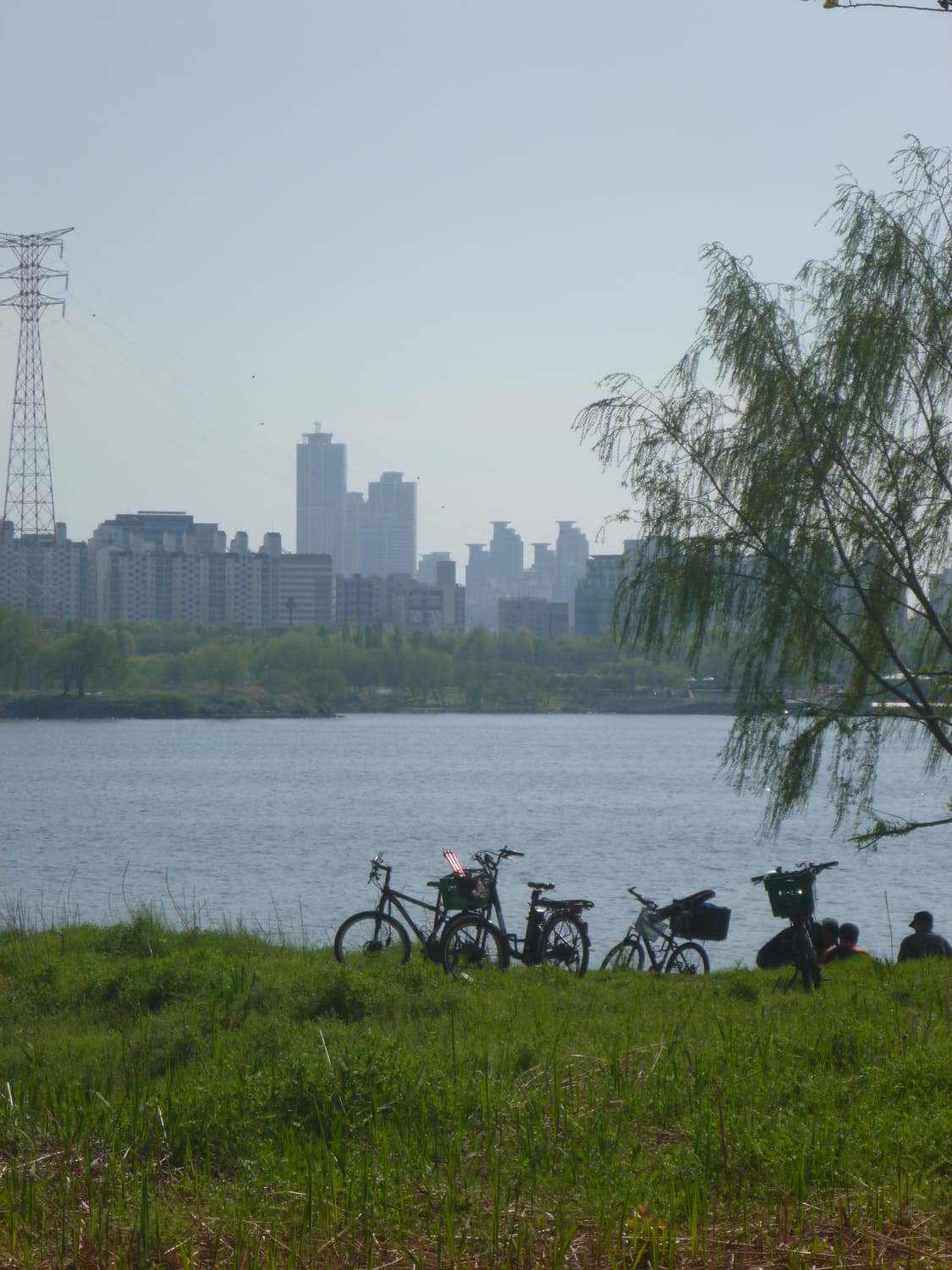 희귀컬러 ! 파나소닉 루믹스 DMC-FT2 빈티지디카 디지털카메라 상품이미지2