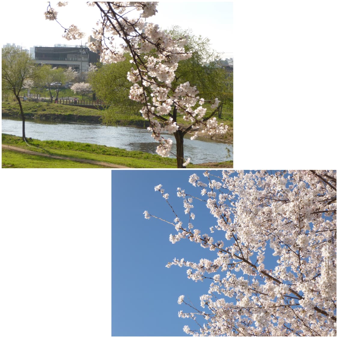 파나소닉 루믹스 SZ3 베이비핑크 빈티지디카 상품이미지3