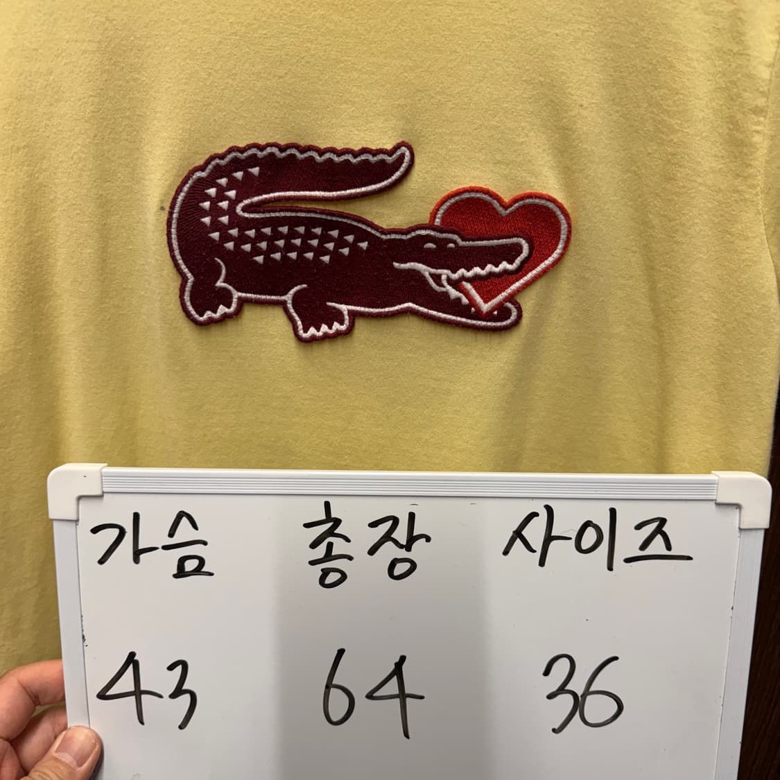 라코스테 반팔티셔츠  상품이미지5