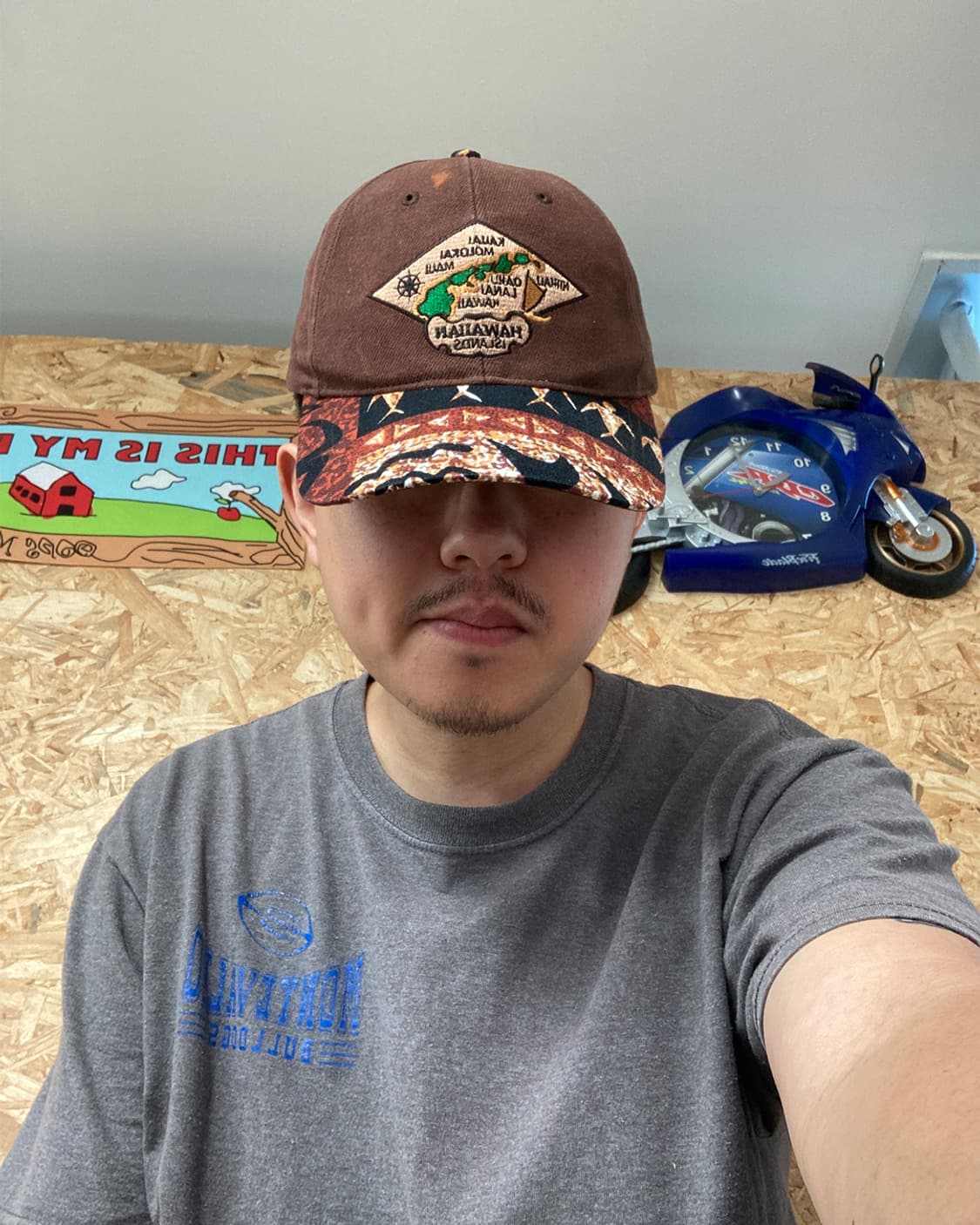 Hawaiian Islands 볼캡 상품이미지6