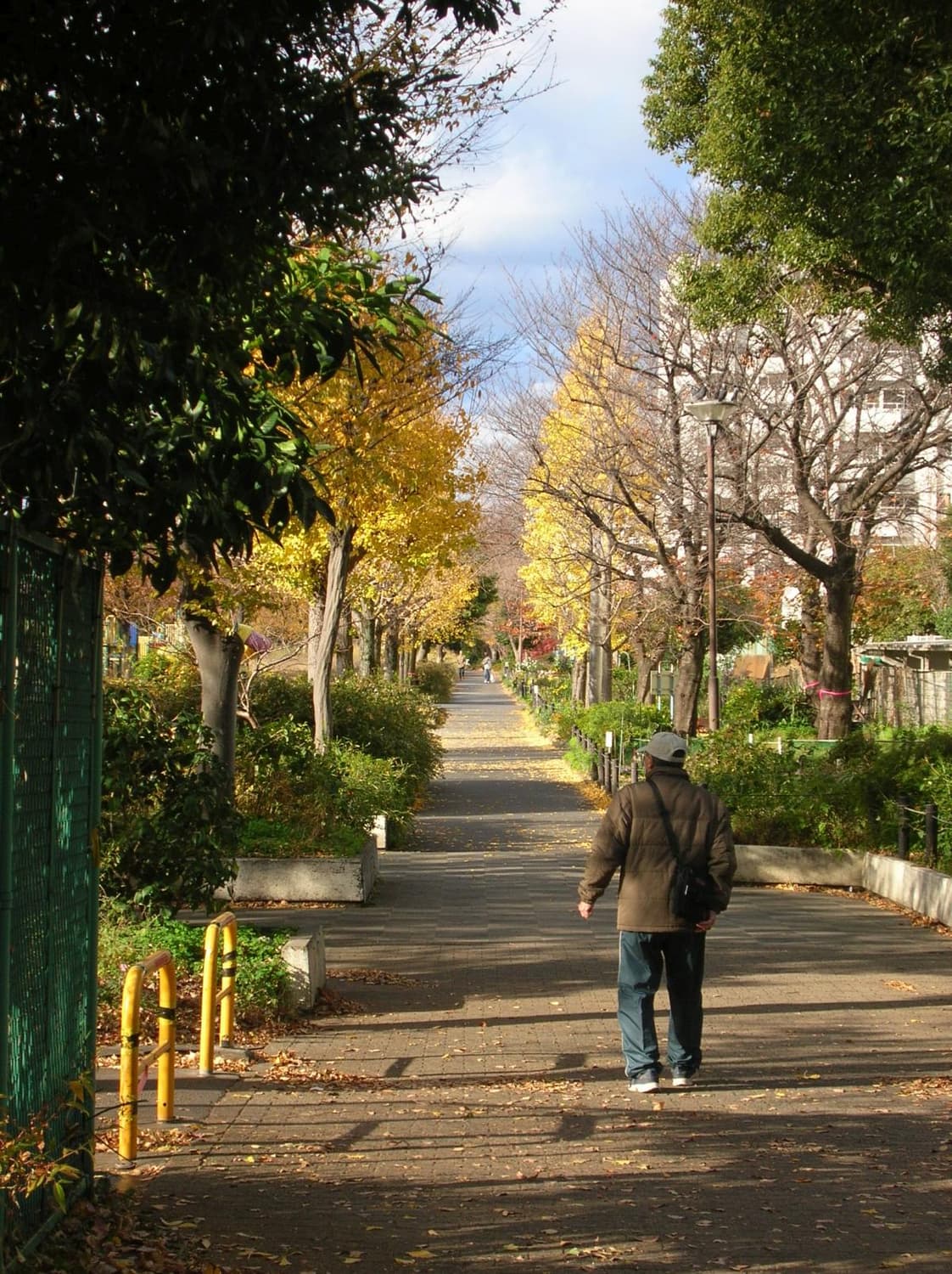 레어 미품 🍊니콘 쿨픽스 Coolpix 4100 오렌지 상품이미지8