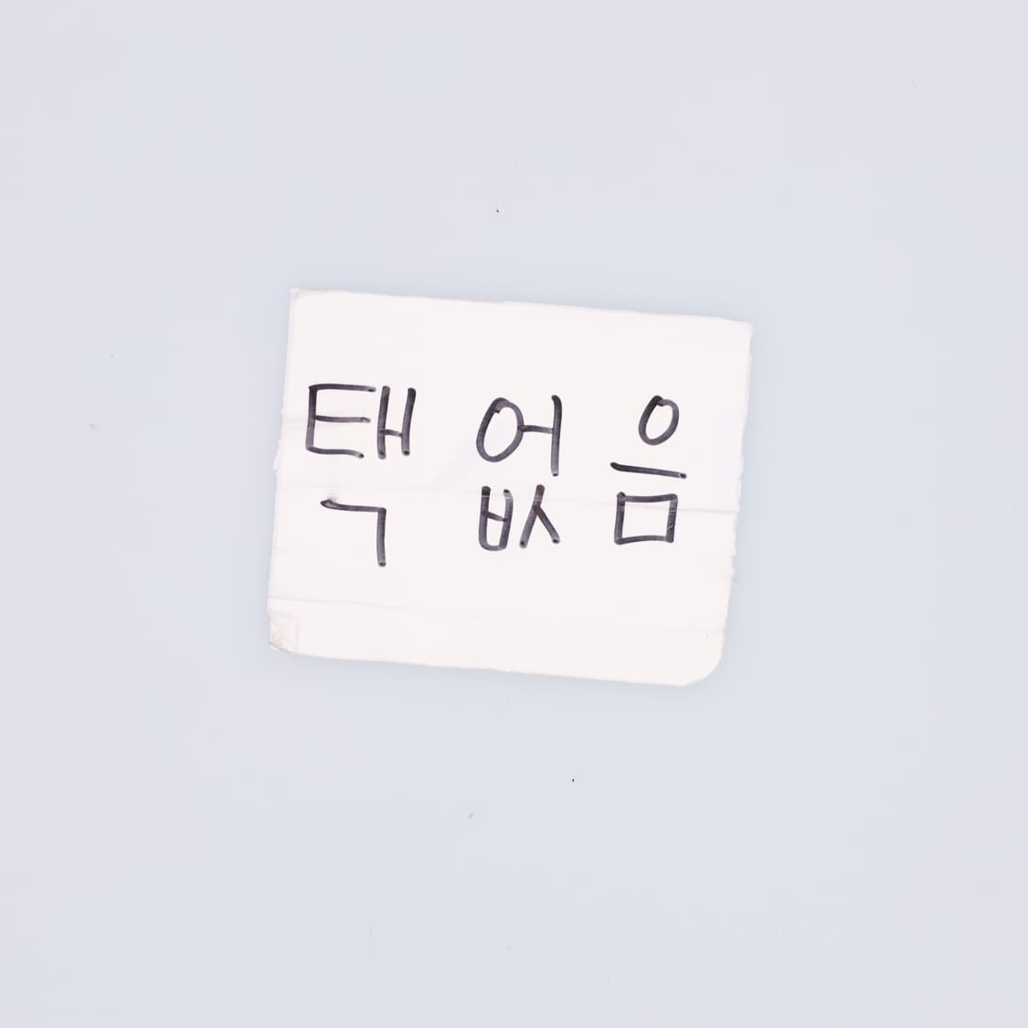 M 커먼프로젝트 와이드팬츠 0528H 상품이미지6