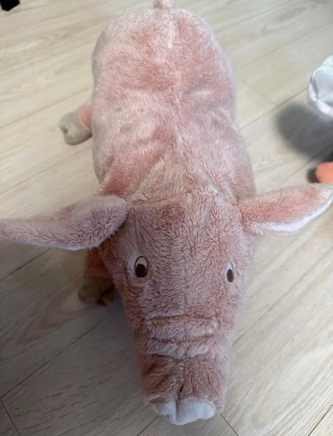 이케아 오랑이 돼지 인형 일괄판매 상품이미지3