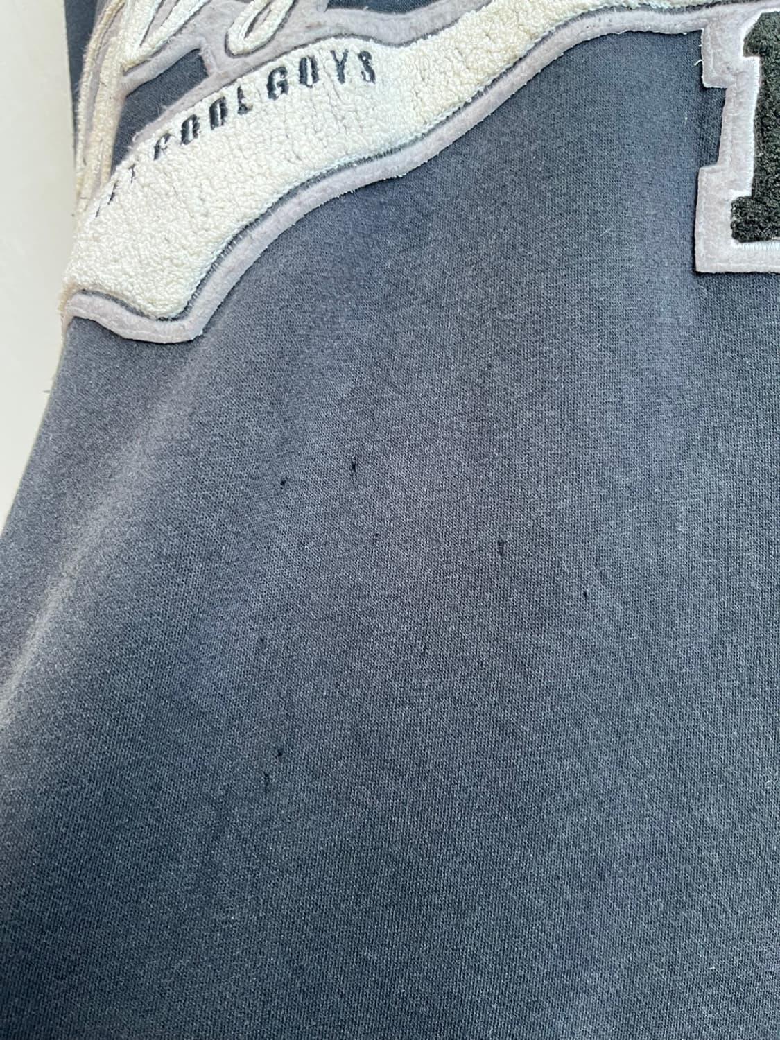 DOG TOWN 도그타운 스트릿쿨가이스 후드 상품이미지4